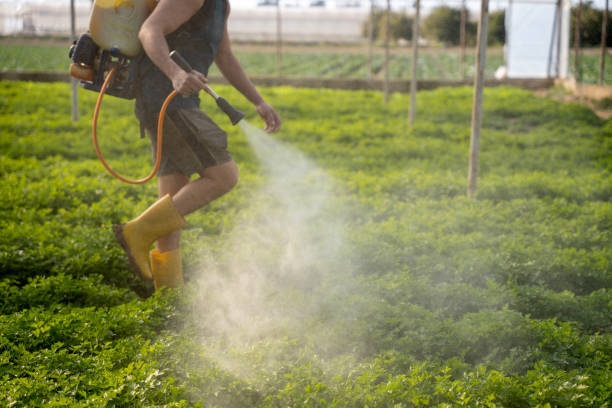 Best Best Pest Control Companies  in Elm Grove, WI